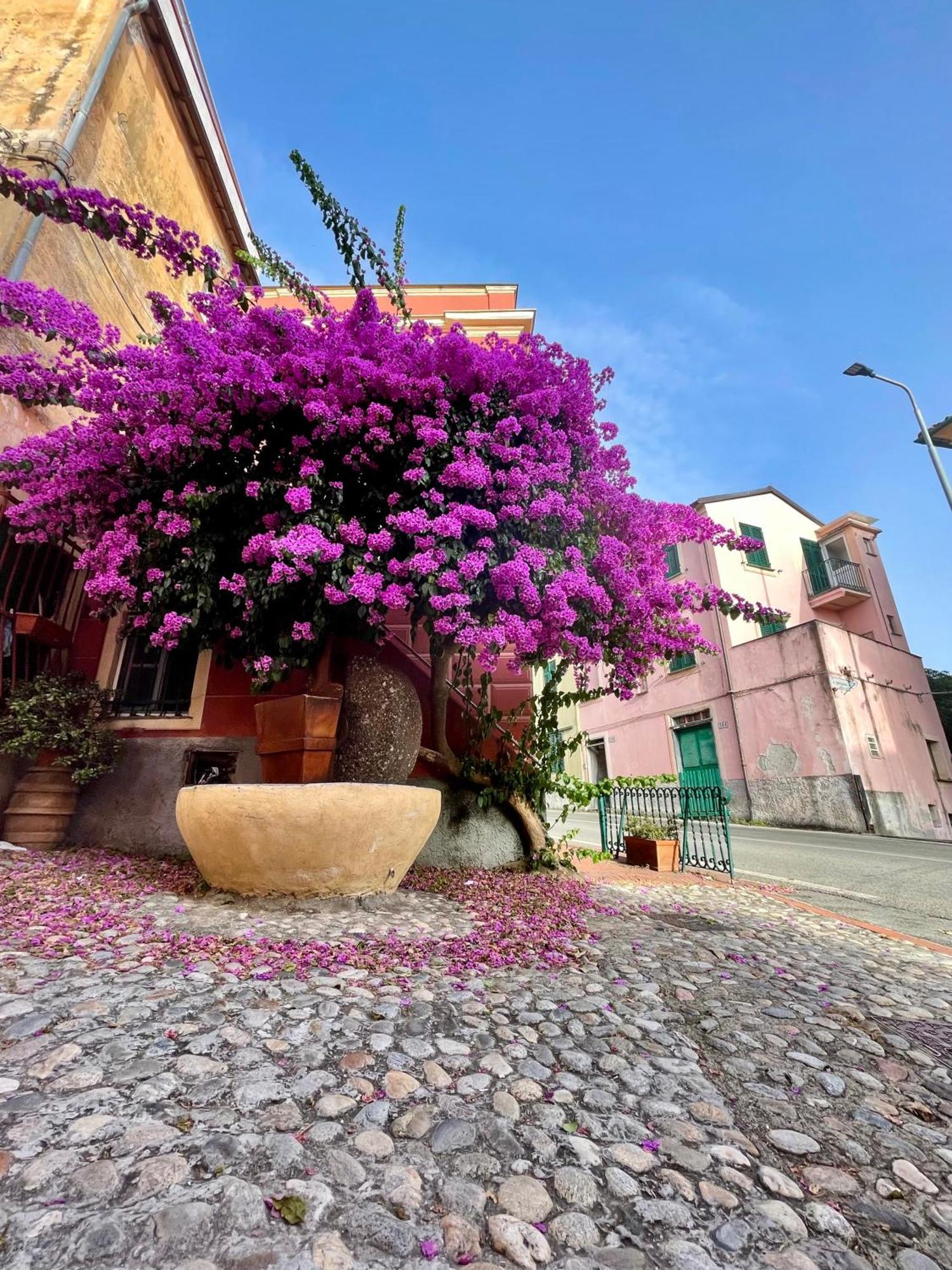 La Monstera Rooms Sestri Levante Exterior photo